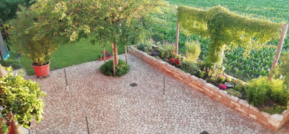 Main image for gallery Außen und Innenbereich