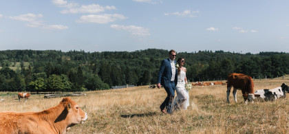 Main image for gallery Daniel & Sandra