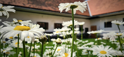 Main image for gallery Impressionen