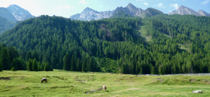 Main image for gallery Mehr von mir...