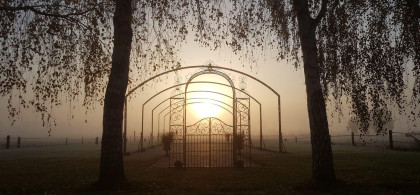 Main image for gallery Hochzeitswiese