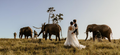 Main image for gallery Destination Weddings - Südafrika