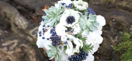 Main image for gallery Eindrücke