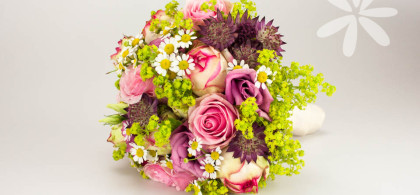 Main image for gallery Eindrücke