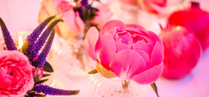 Main image for gallery Eindrücke