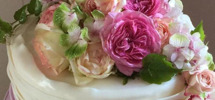 Main image for gallery Eindrücke