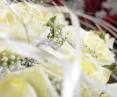 Main image for gallery Eindrücke