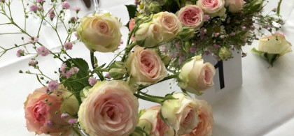 Main image for gallery Eindrücke