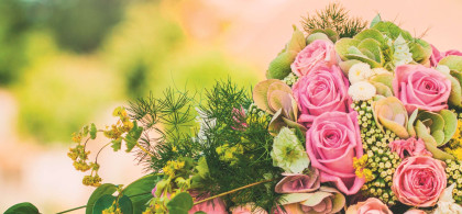 Main image for gallery Eindrücke