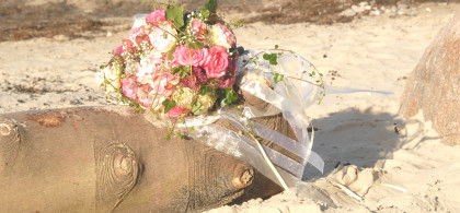 Main image for gallery Eindrücke