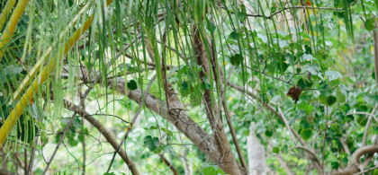 Main image for gallery Eindrücke