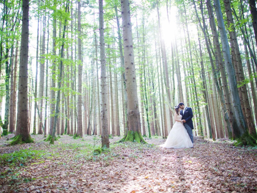 Main image for gallery Traumhochzeit