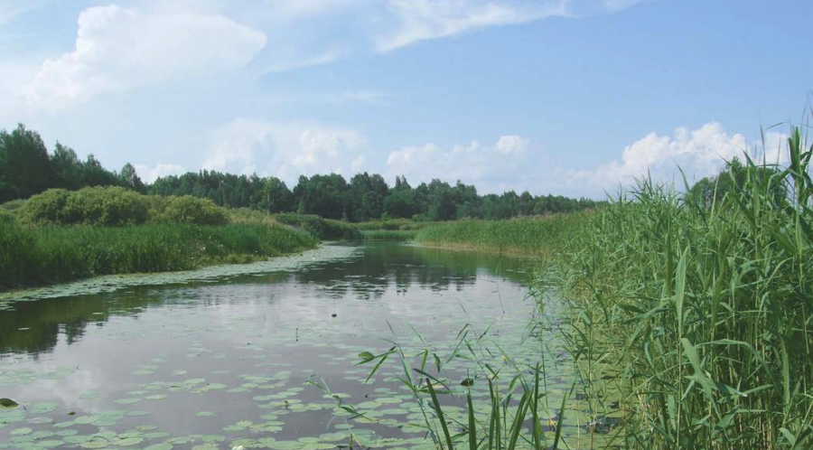 Main image for gallery Umgebung