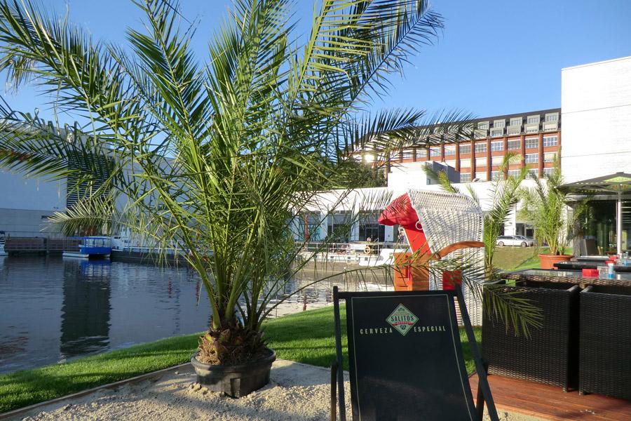 Main image for gallery Beach
