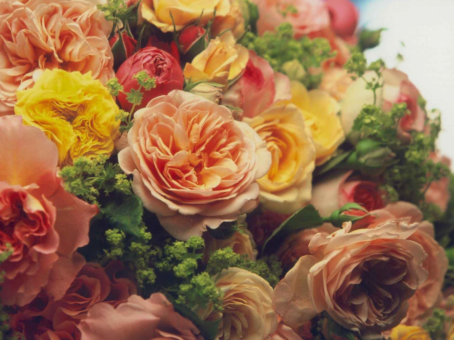 Main image for gallery Blumenvariationen