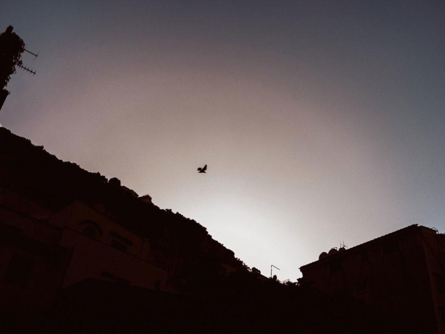 Main image for gallery Intimate Elopement in Positano