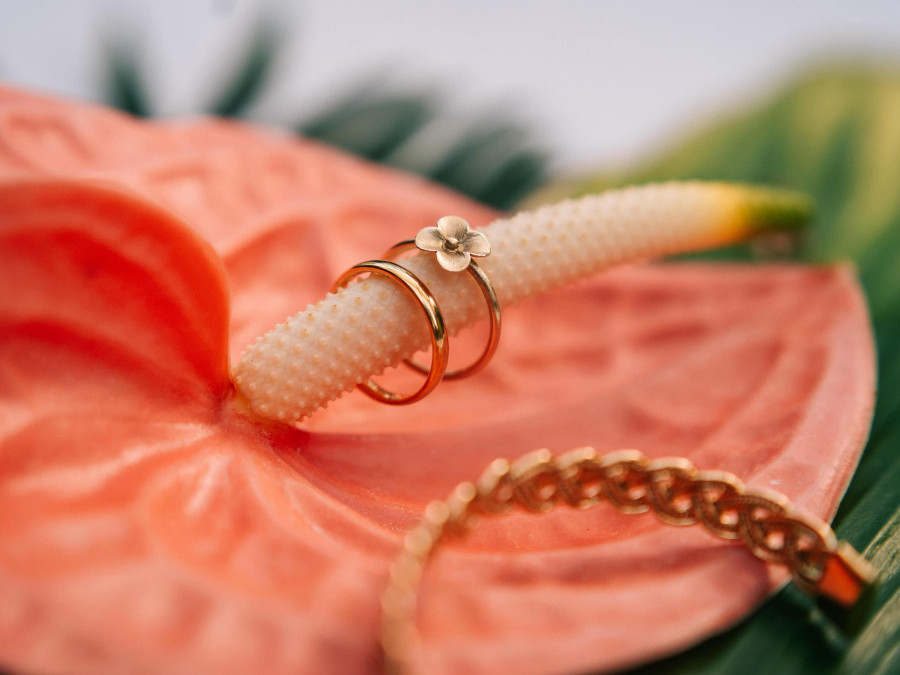 Main image for gallery Paradise Love - eine tropische Hochzeit in München