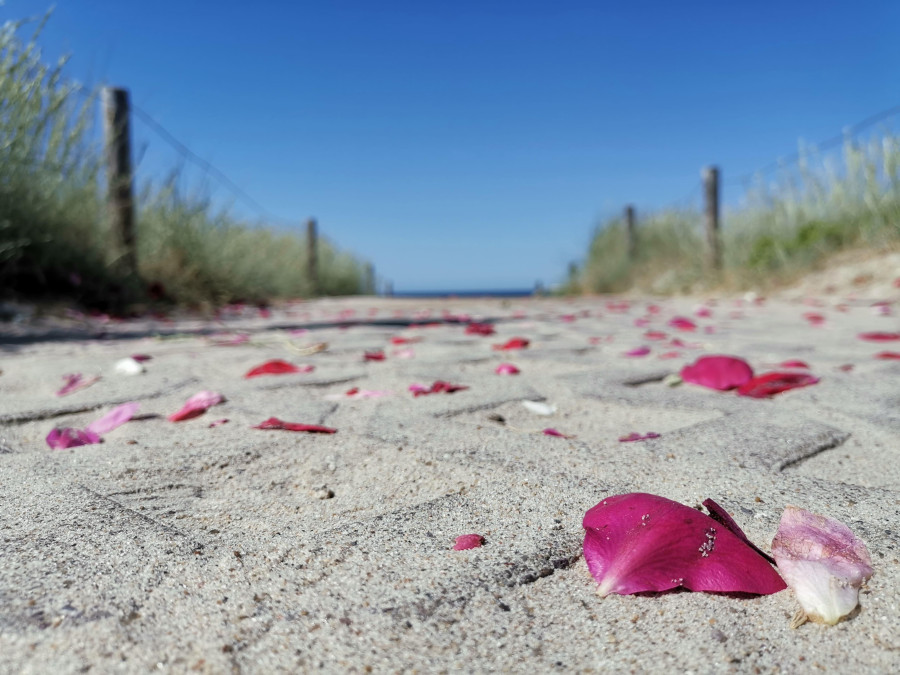 Main image for gallery Besondere Momente