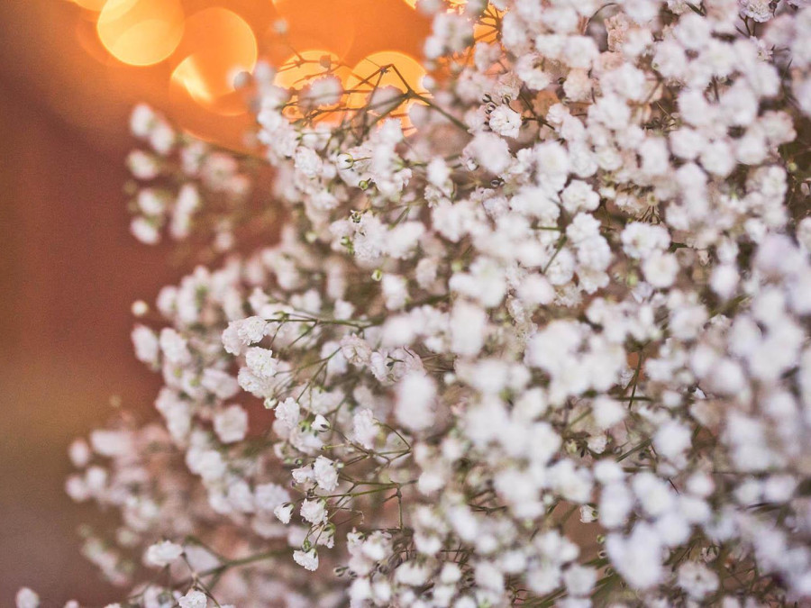 Main image for gallery Wedding Portfolio #2