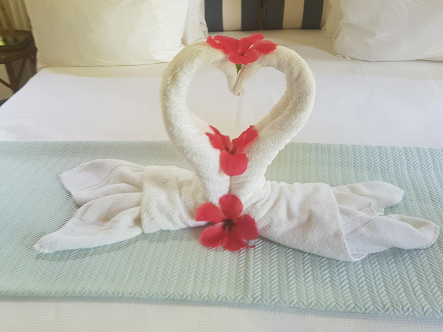Main image for gallery Auf Jamaica und überall auf der Welt - Honeymoon - da steckt Liebe drinnen!