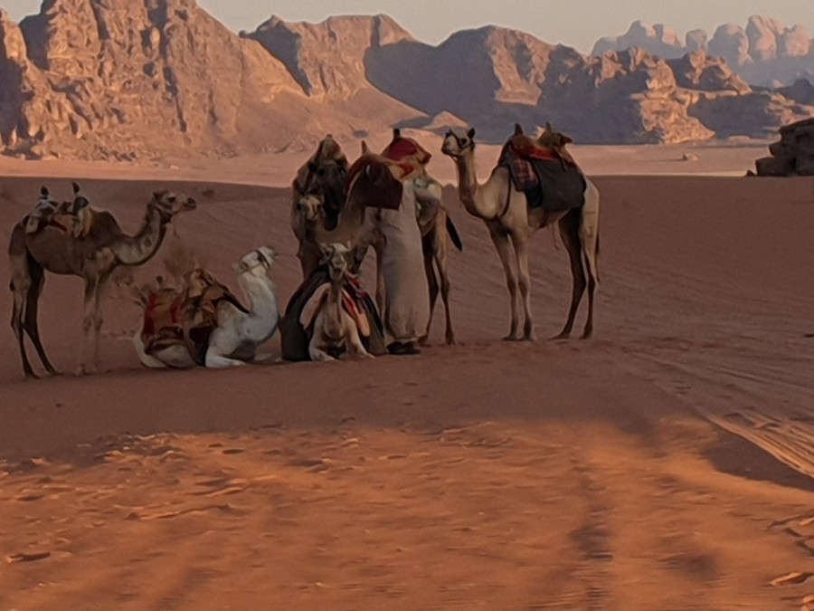 Main image for gallery Jordanien - Wadi Rum und Petra