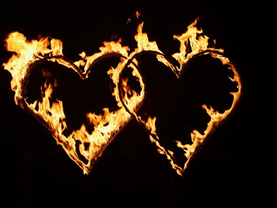 Main image for gallery LOVE Feuer