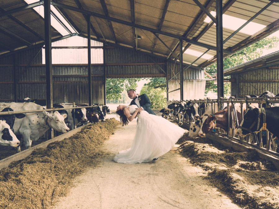 Main image for gallery Shooting auf dem Bauernhof