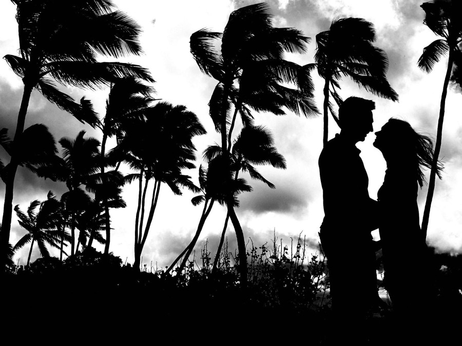Main image for gallery Somewhere over the Rainbow, Aloha und eine Traumhochzeit auf Hawaii von florian Heurich