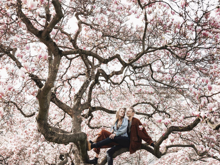 Main image for gallery Love Birds ♥