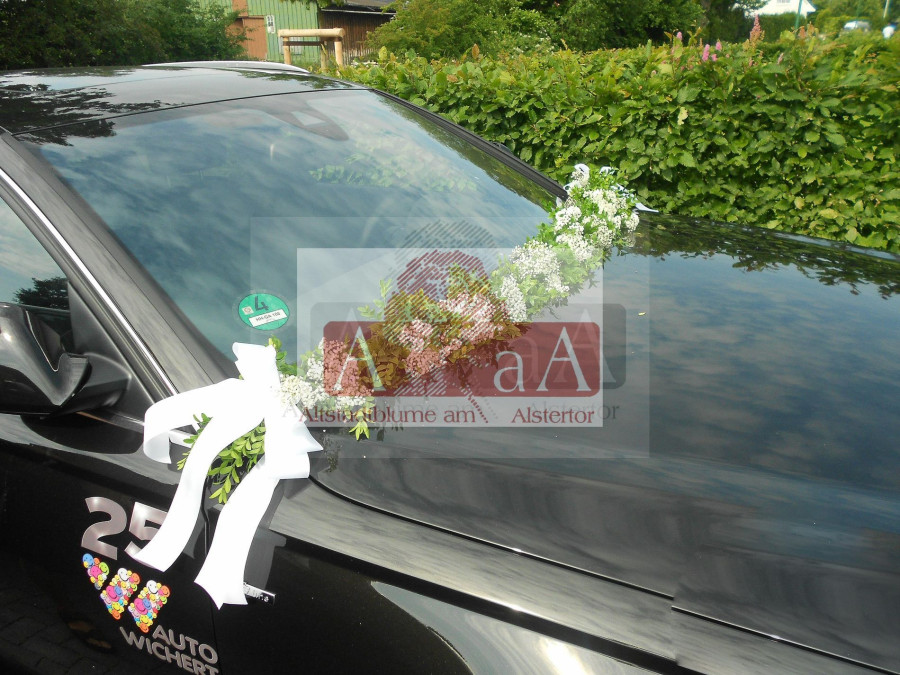Main image for gallery Autoschmuck