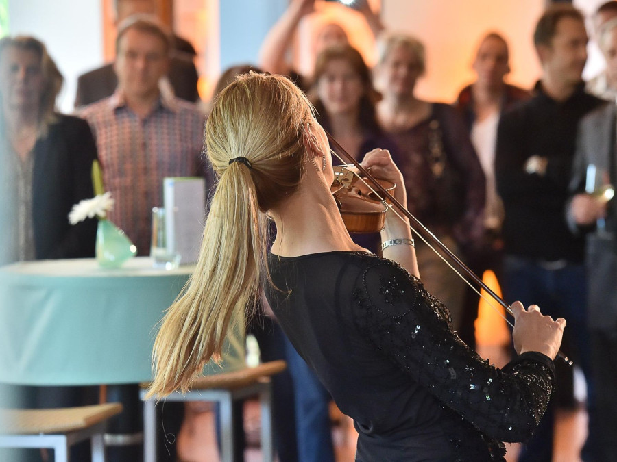 Main image for gallery Violine zum Sektempfang