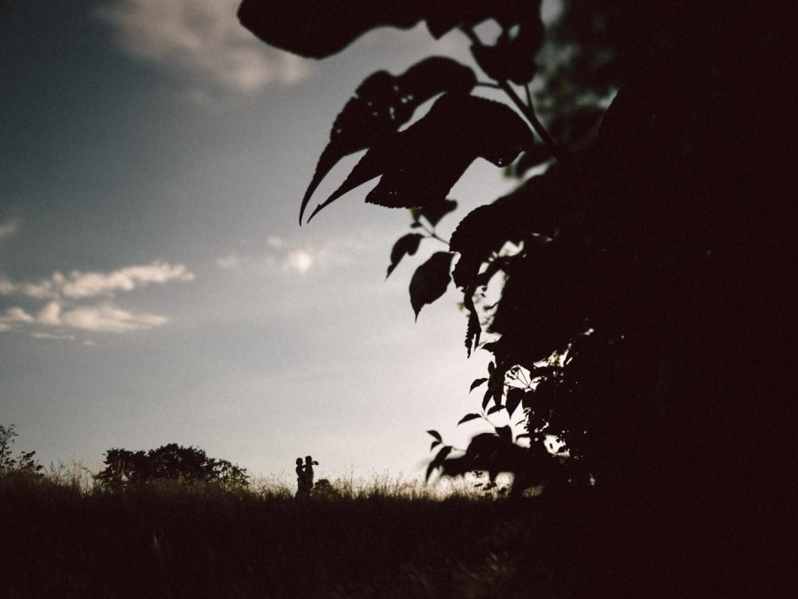 Main image for gallery Portfolio