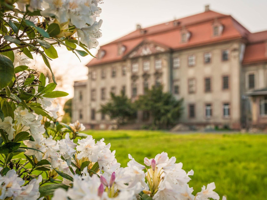 Main image for gallery Eindrücke
