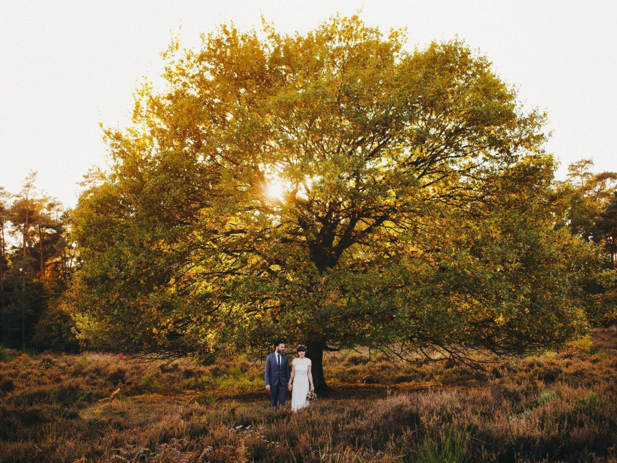Main image for gallery Hochzeitsportfolio