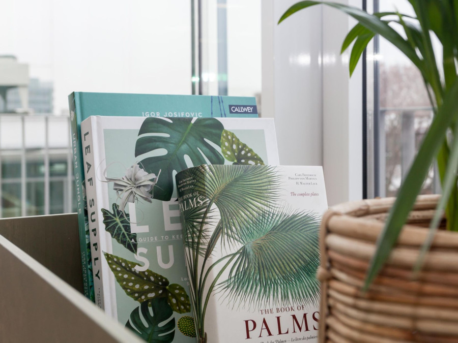 Main image for gallery Dein Palmengarten über den Dächern Frankfurts