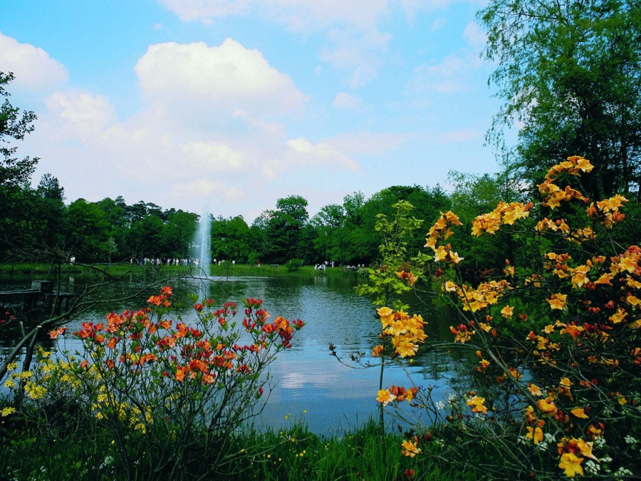 Main image for gallery Rhododendronpark Hobbie