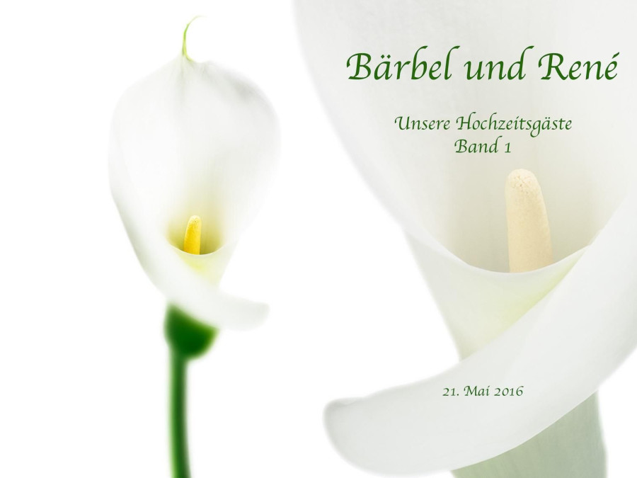 Main image for gallery Gästealbum