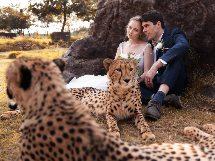 Main image for gallery Amy & Jason