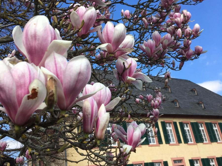 Main image for gallery weitere Impressionen