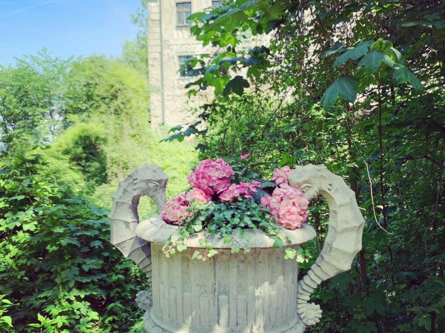 Main image for gallery Vase im Rosengarten
