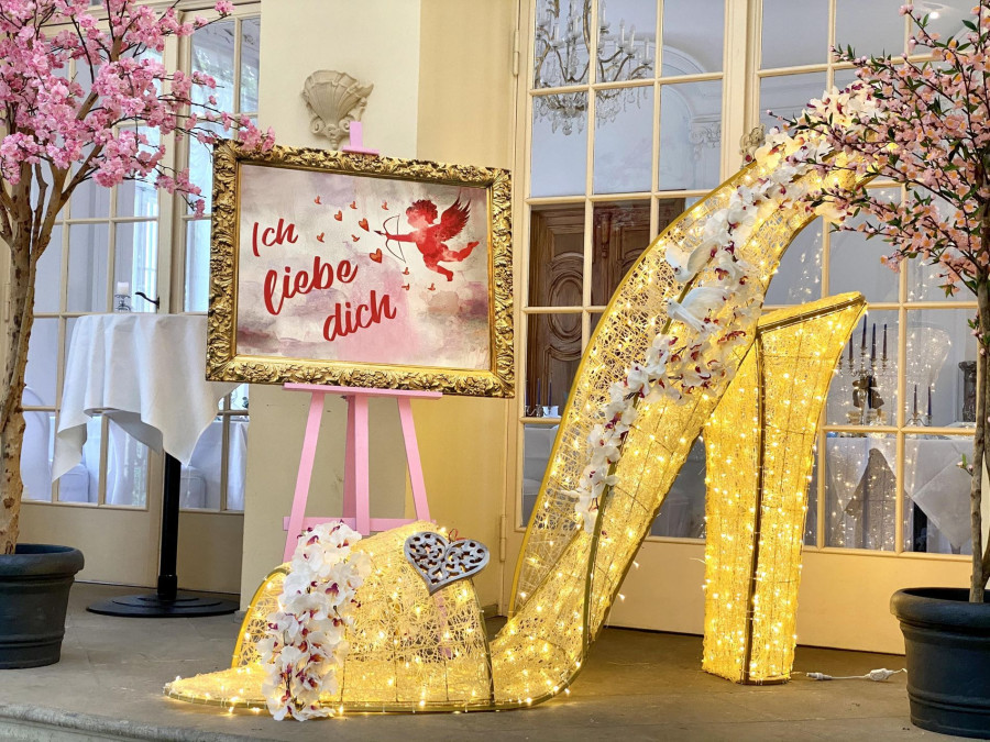 Main image for gallery LED Schuh