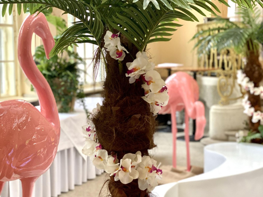 Main image for gallery Flamingo