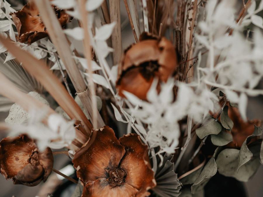 Main image for gallery After Wedding Boho
