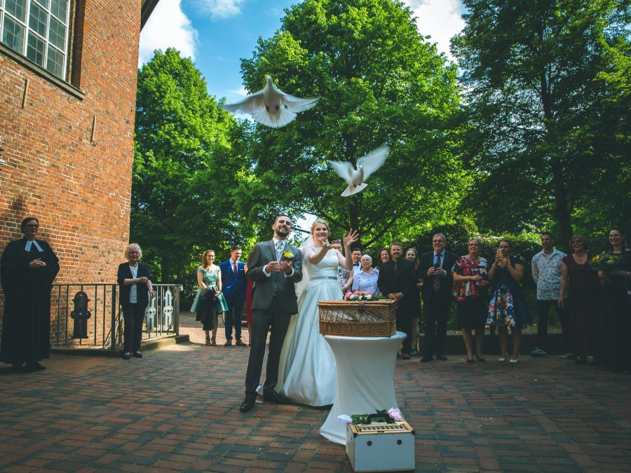 Main image for gallery Doves