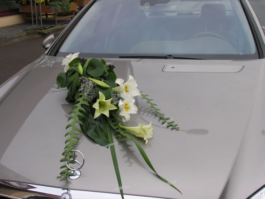 Main image for gallery Autoschmuck