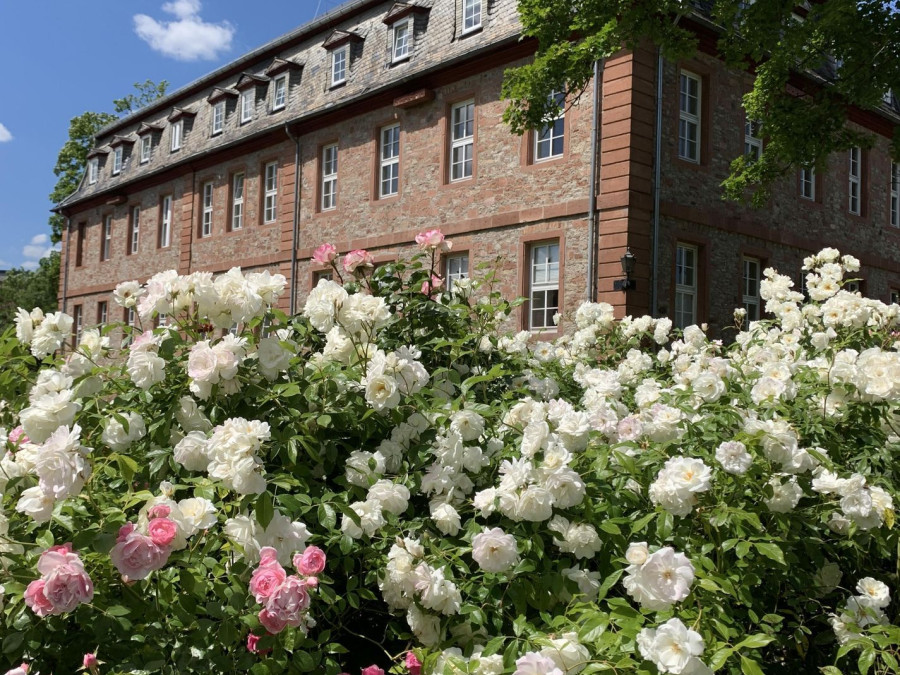 Main image for gallery Schlosspark