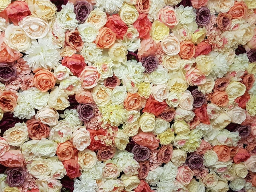 Main image for gallery Bunte Blumenwand
