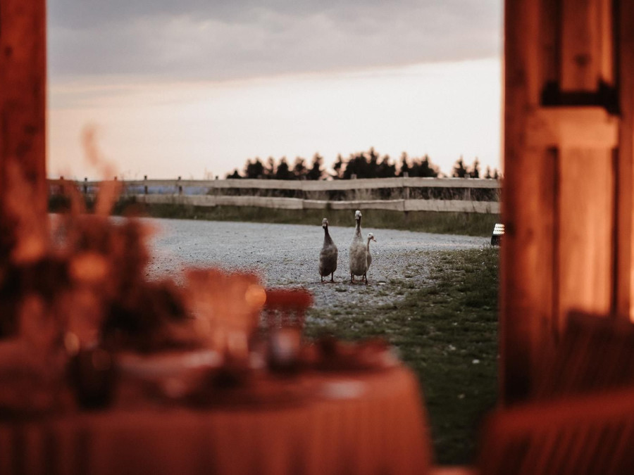 Main image for gallery Bayrisch traditionelle Almhochzeit