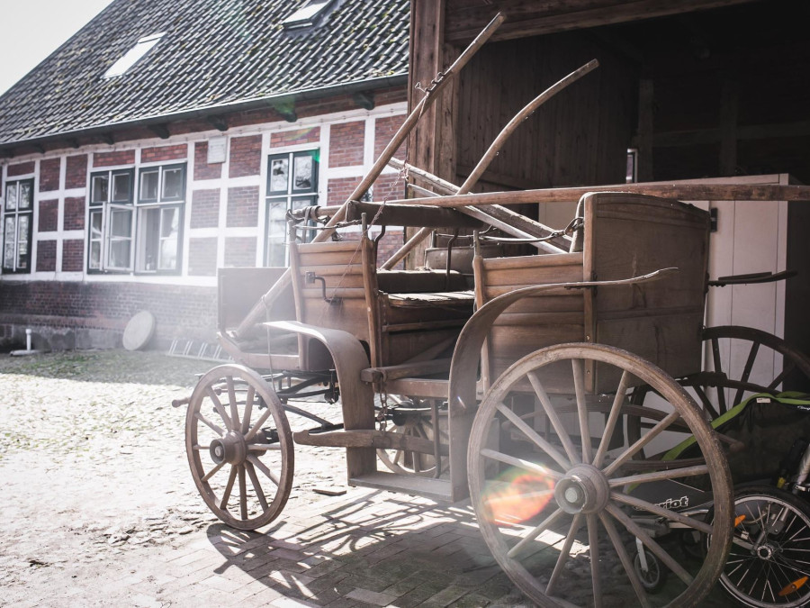 Main image for gallery Impressionen Vom Hof und Feierlichkeiten