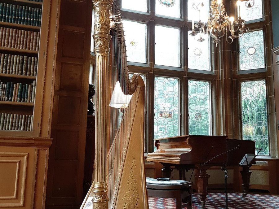 Main image for gallery Harfe im Schloss